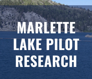 Marlette Pilot Research